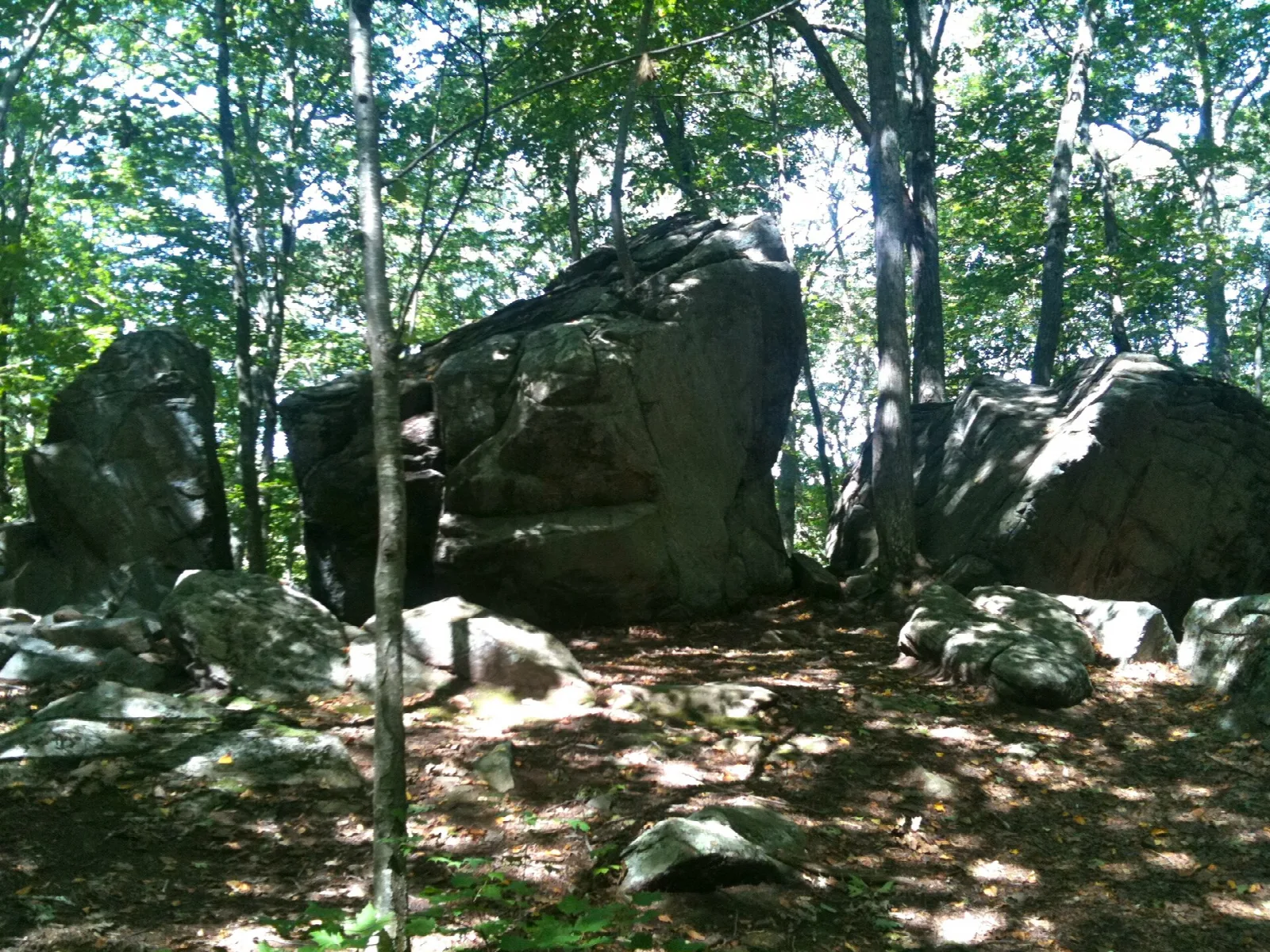 Large boulders on a sunlit forest floor