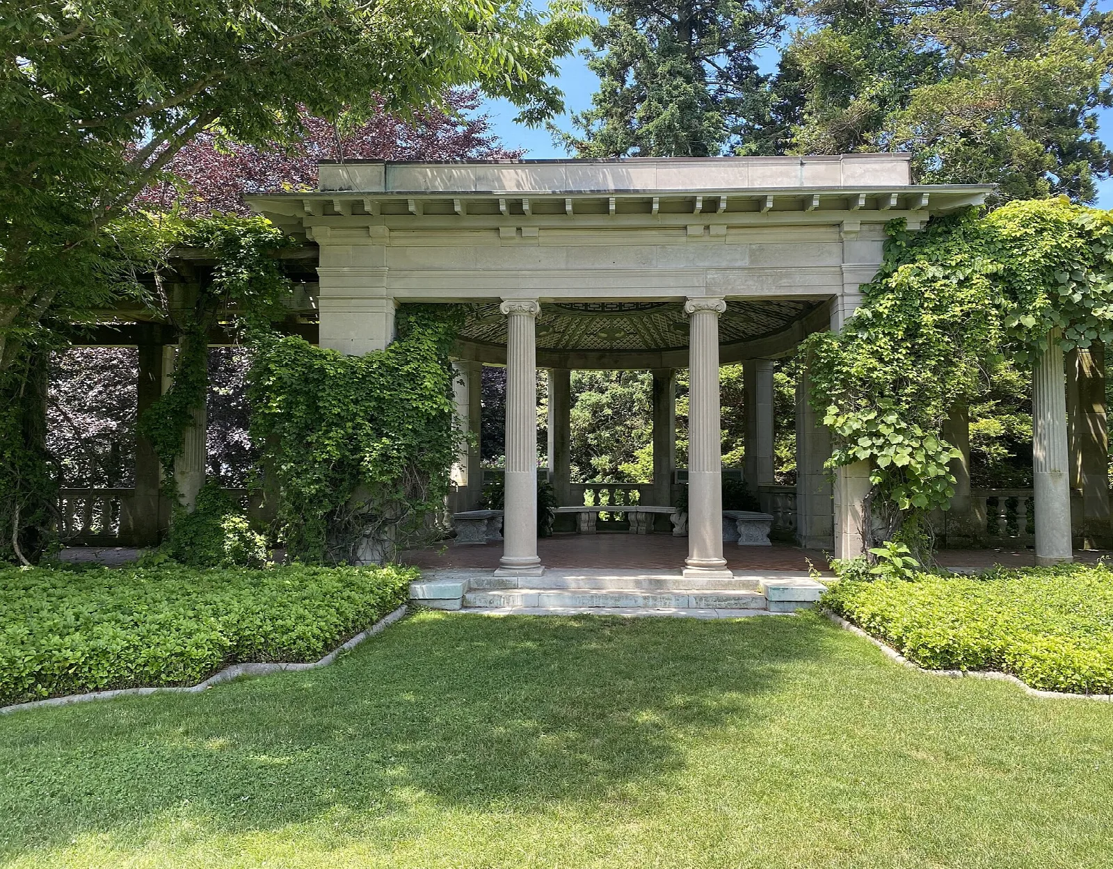 White columned pergola on a lawn among vines