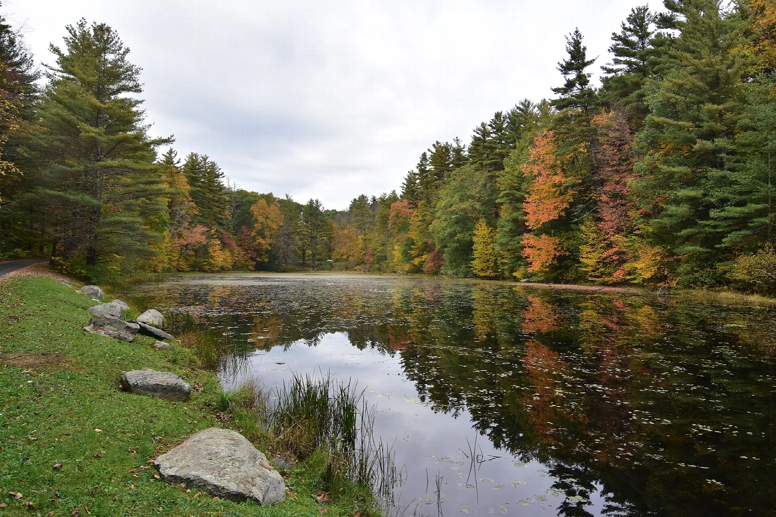 Still pond reflecting autumn trees, with a grassy bank