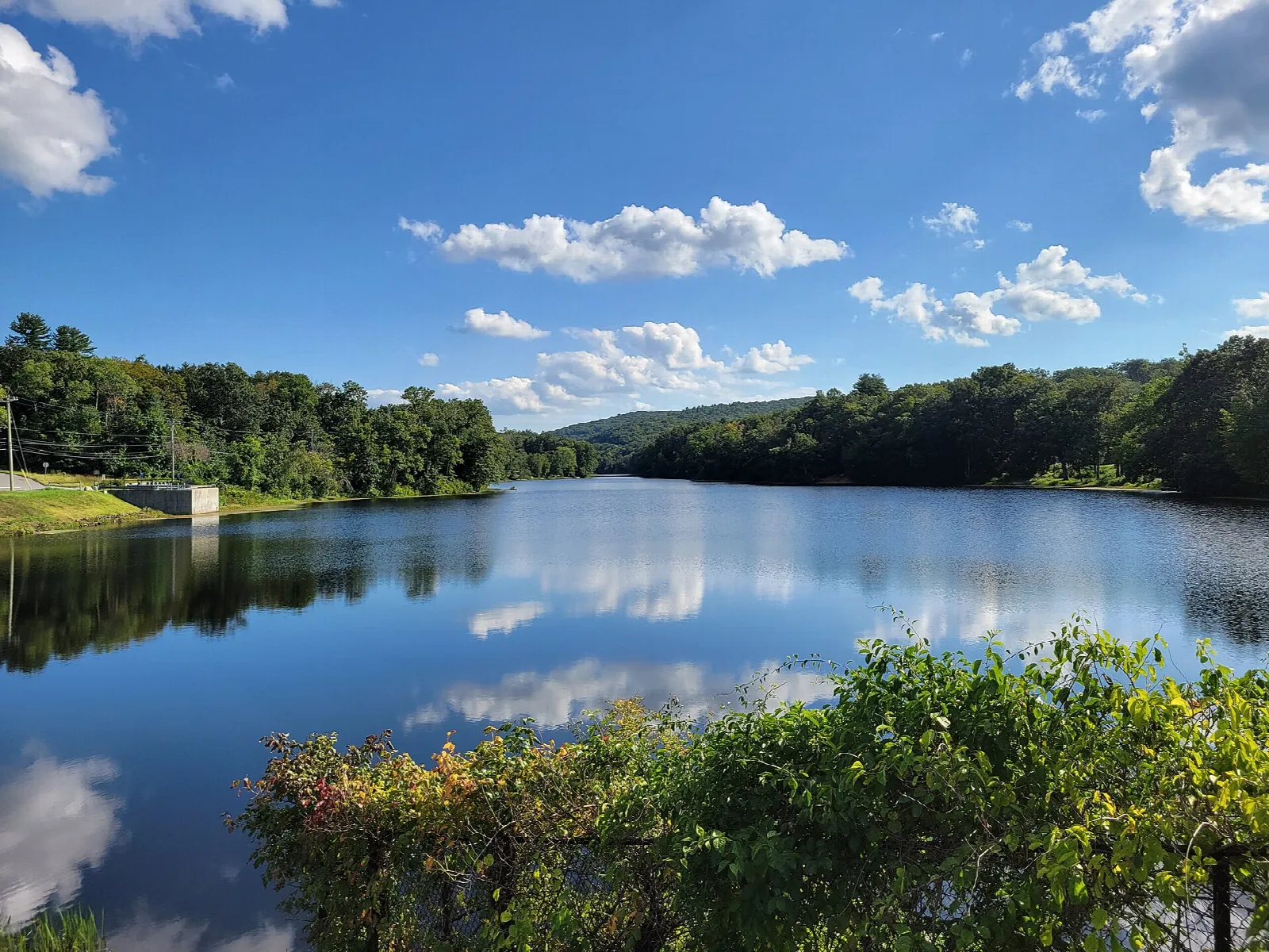 Reservoir with a tree-lined shore under blue sky