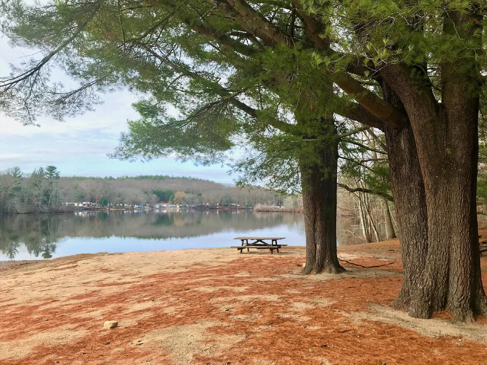 Picnic table under large trees beside a pond