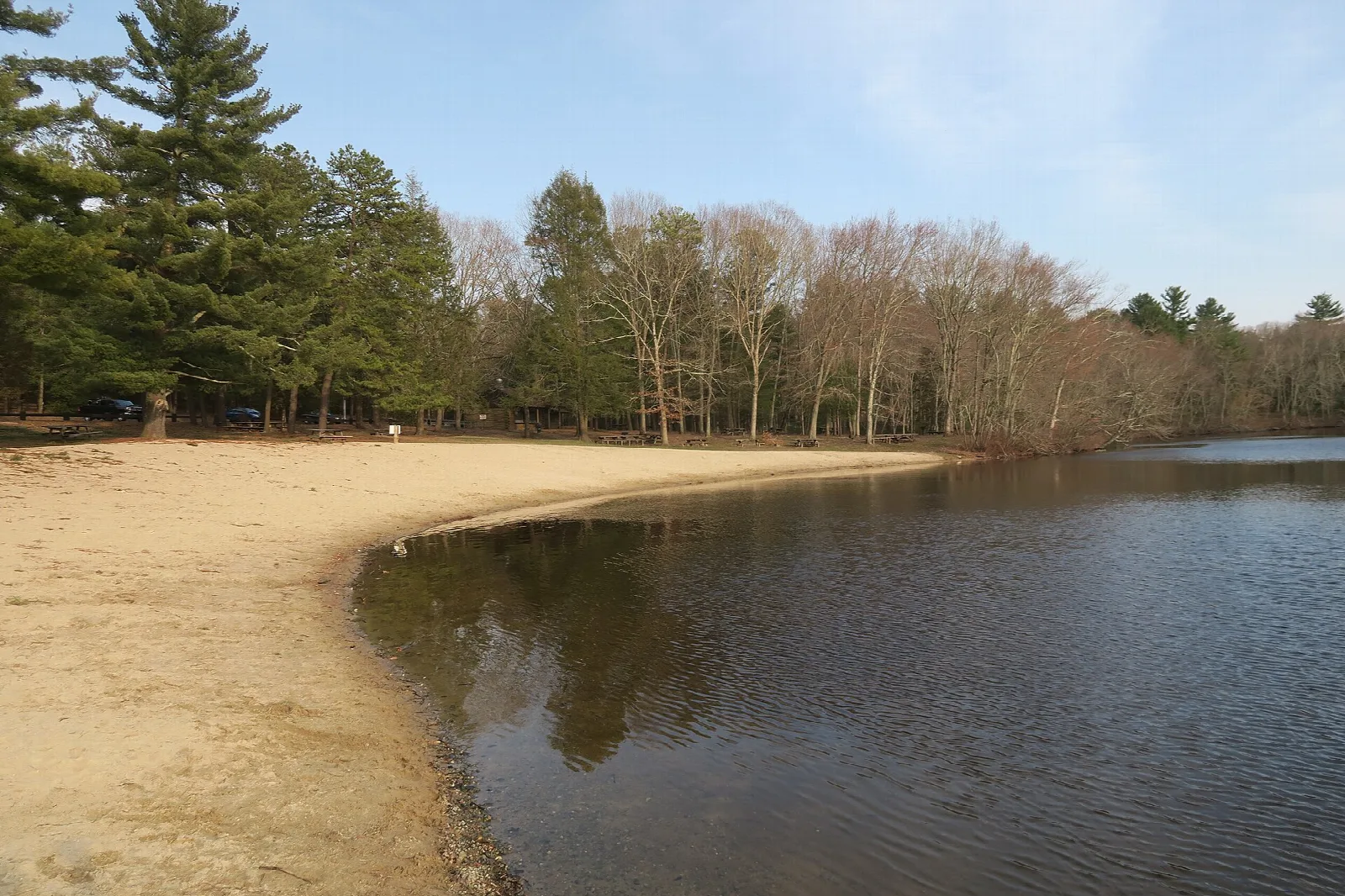 Sandy beach curving along a pond edge with pine trees