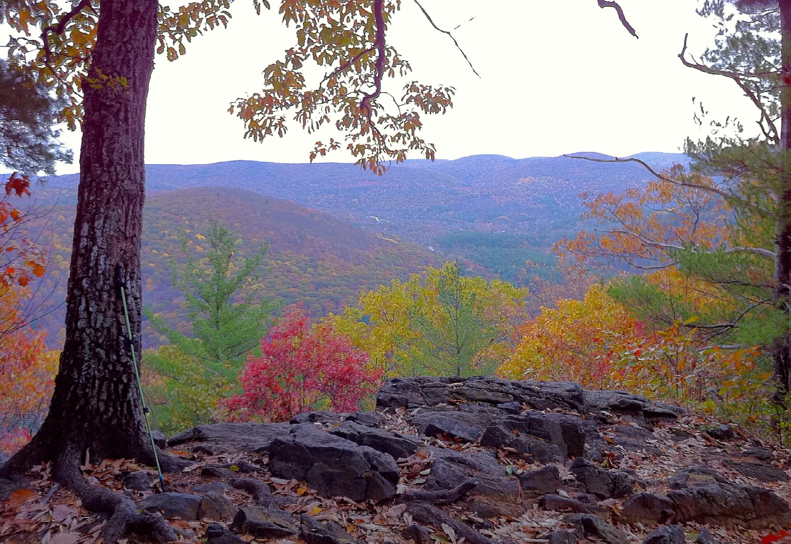 Autumn-colored valley and hills seen past a rocky ledge
