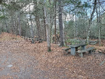 John A. Minetto State Park