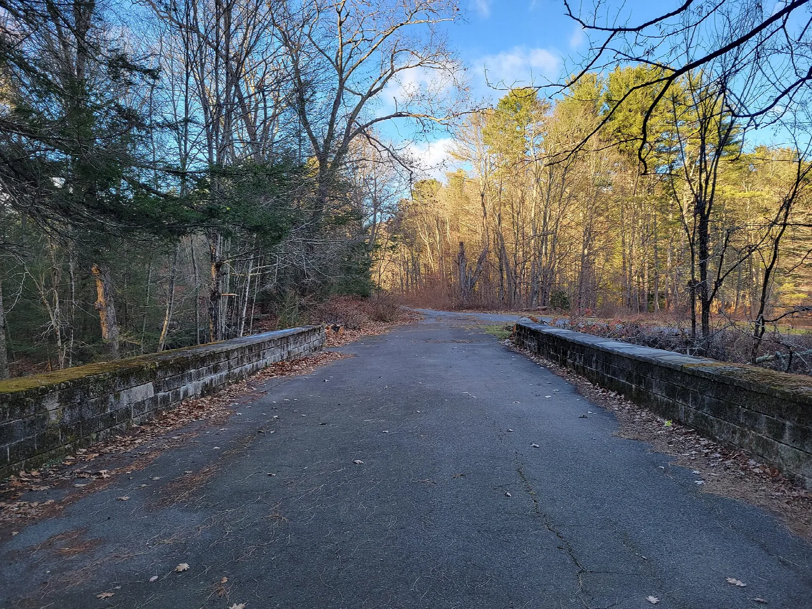 Old paved road lined with low stone walls through woods