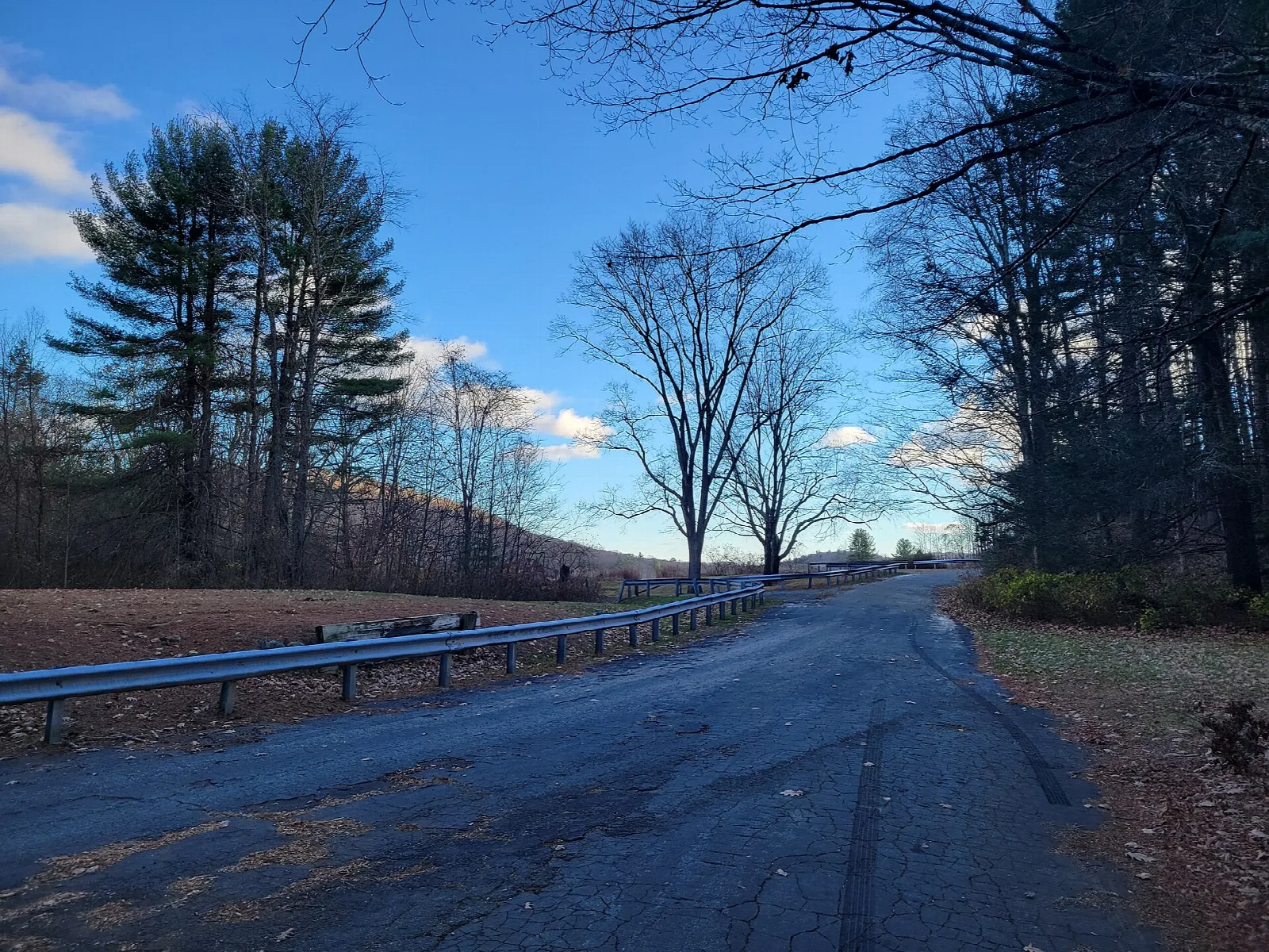 Paved road with a guard rail through bare woods