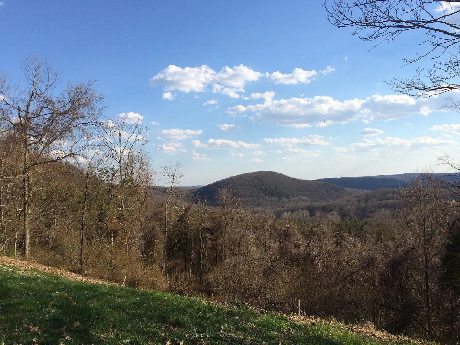 Wooded hills and open sky seen from a grassy slope