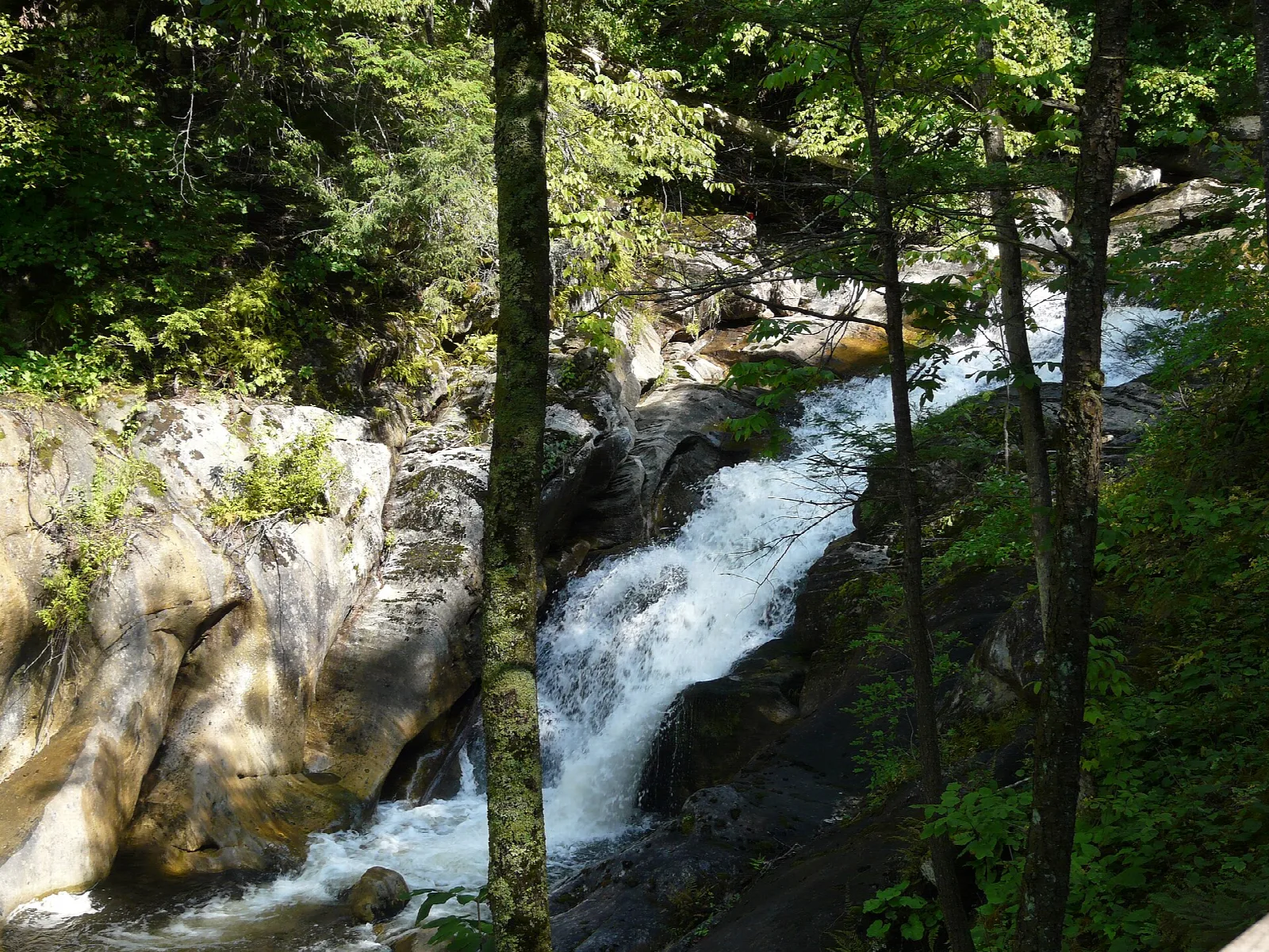 Narrow waterfall tumbling over rocks in a forest