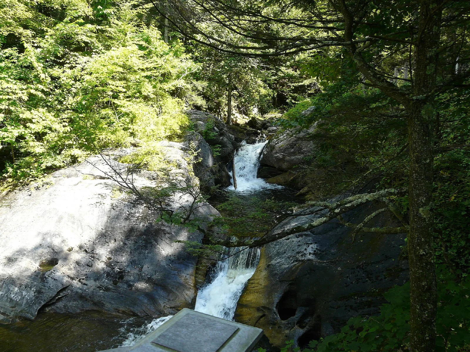 Small waterfalls stepping down through rocks and trees