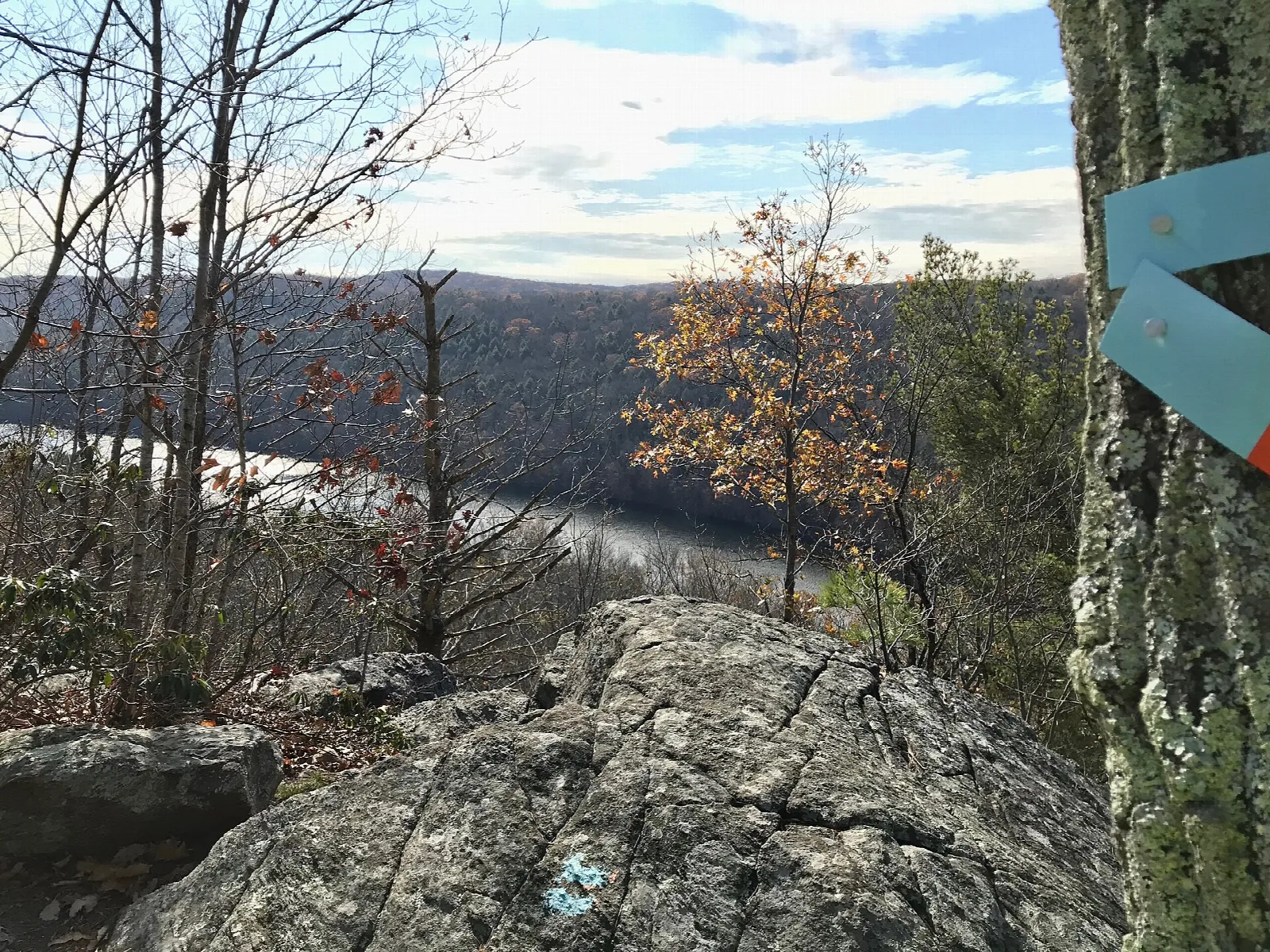 River valley seen from a rocky overlook with a trail blaze on a tree