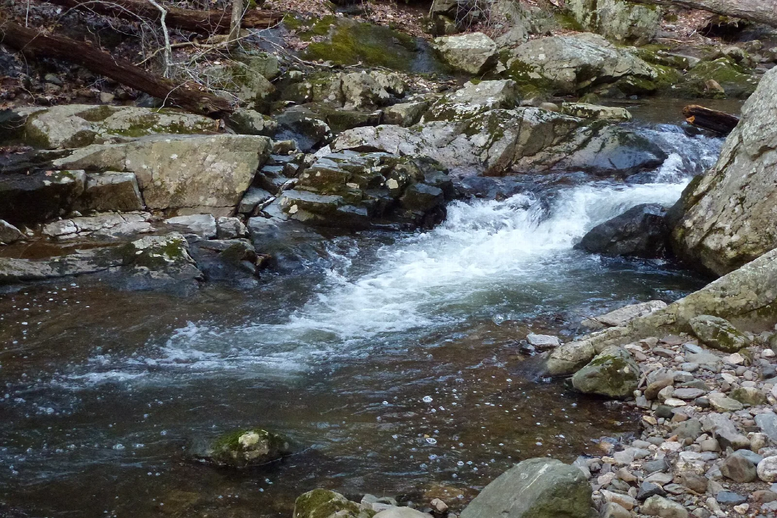 Stream rushing over rocks in a woodland