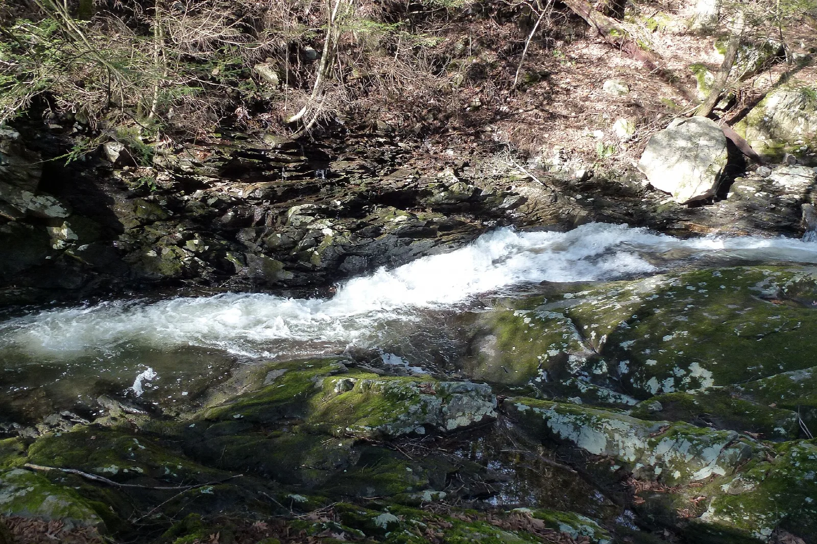 Stream running over mossy rocks