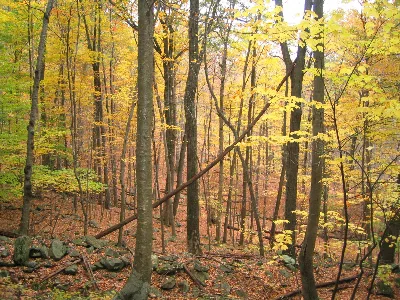Macedonia Brook State Park