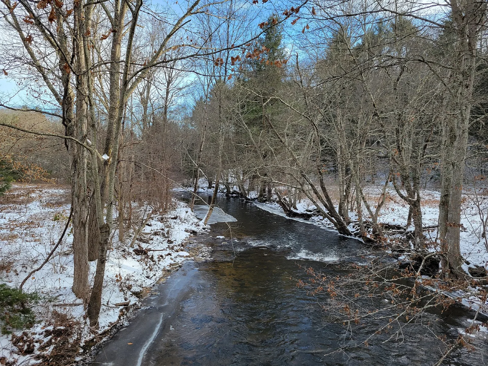 Stream beside a snowy trail in bare woods