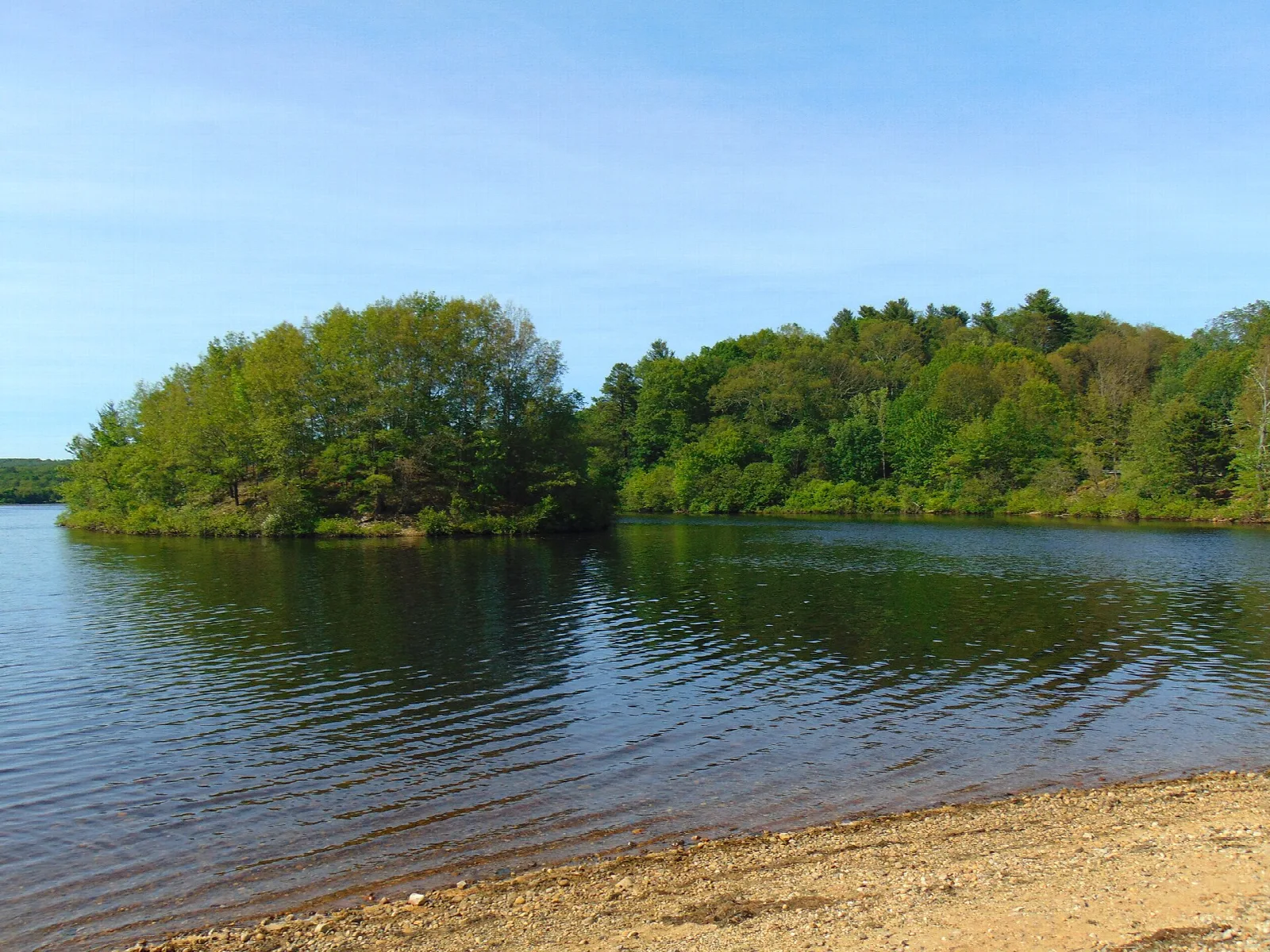 Lake with a forested island and sandy shore