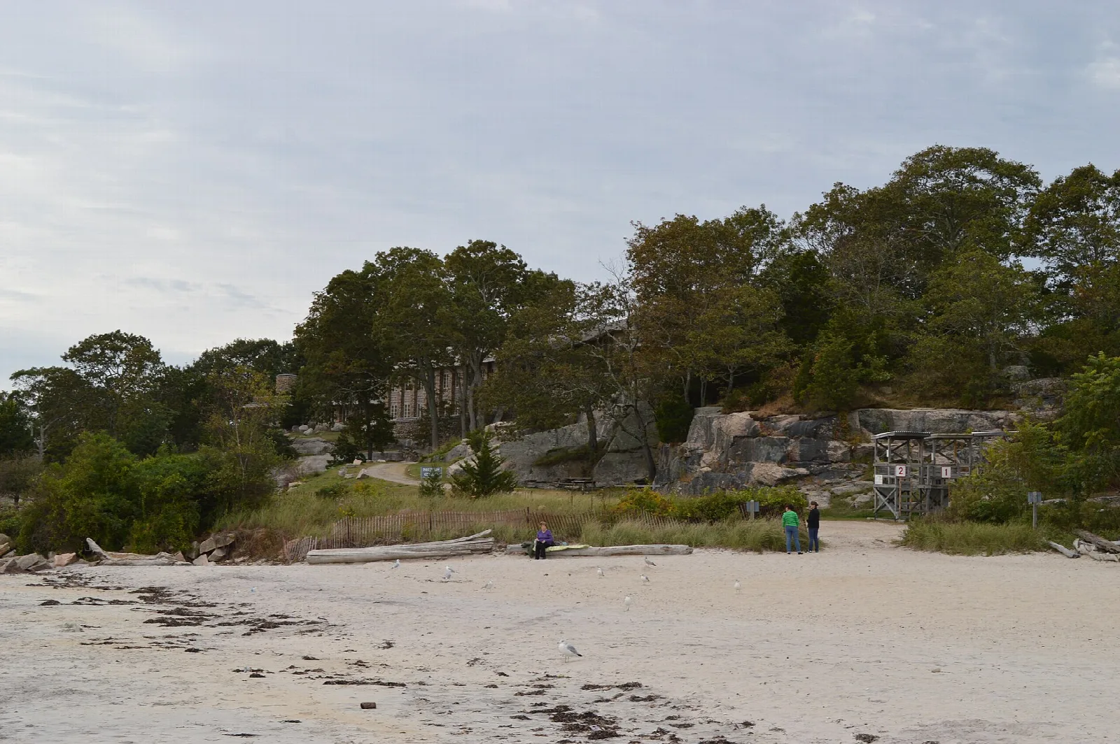 White sand beach with rocks and trees behind