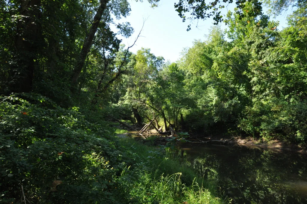 Slow river lined with green trees and shrubs