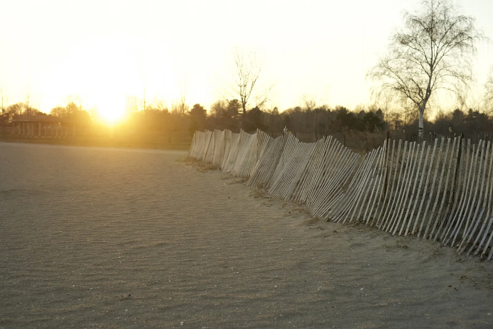Sand beach with a fence in warm sunset light