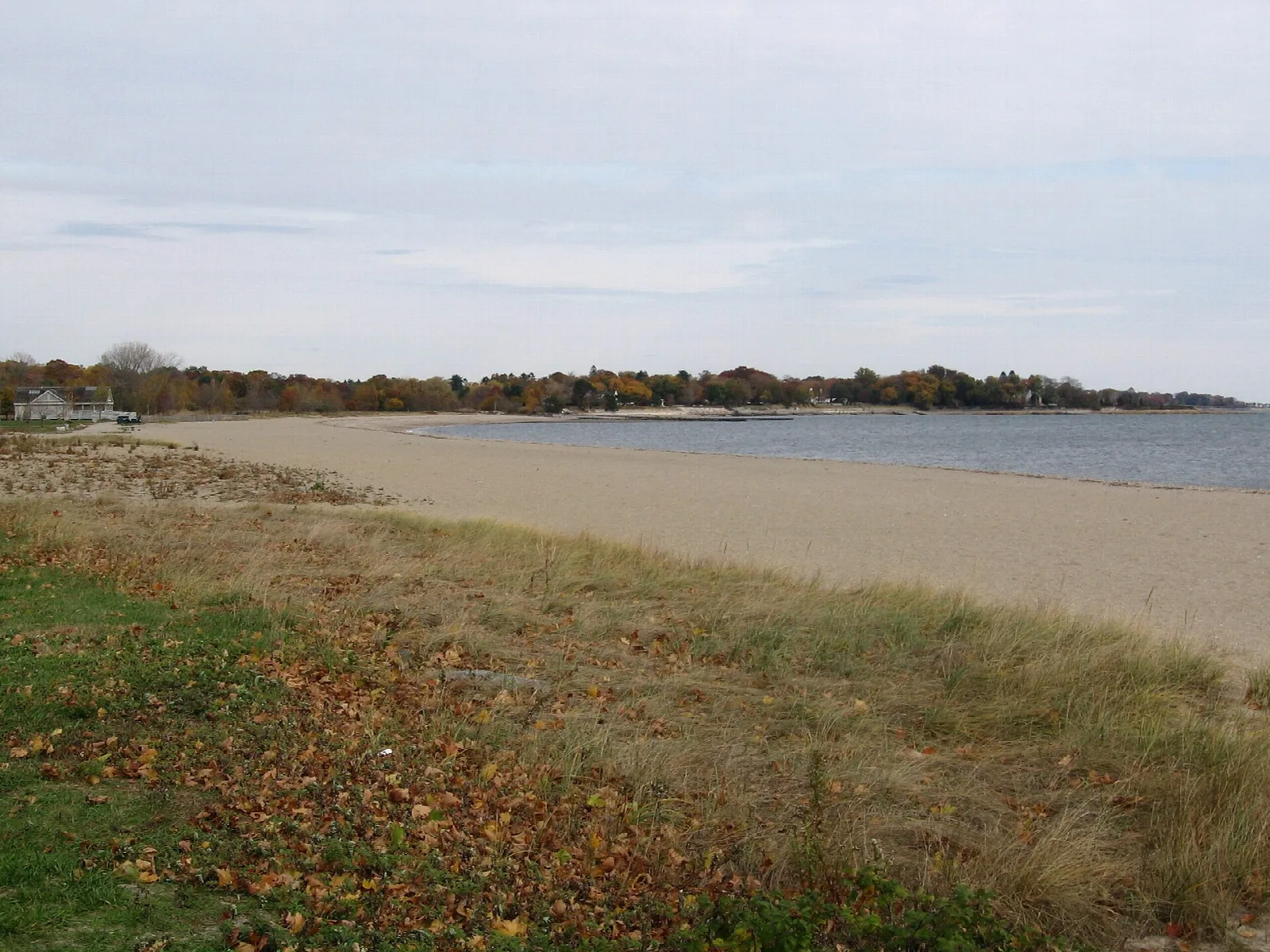 Sandy shoreline and calm water with grass in the foreground