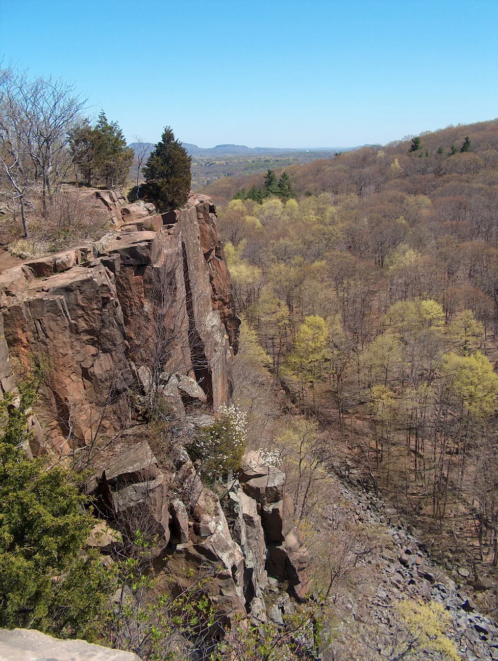 Steep rock cliff above a wooded valley