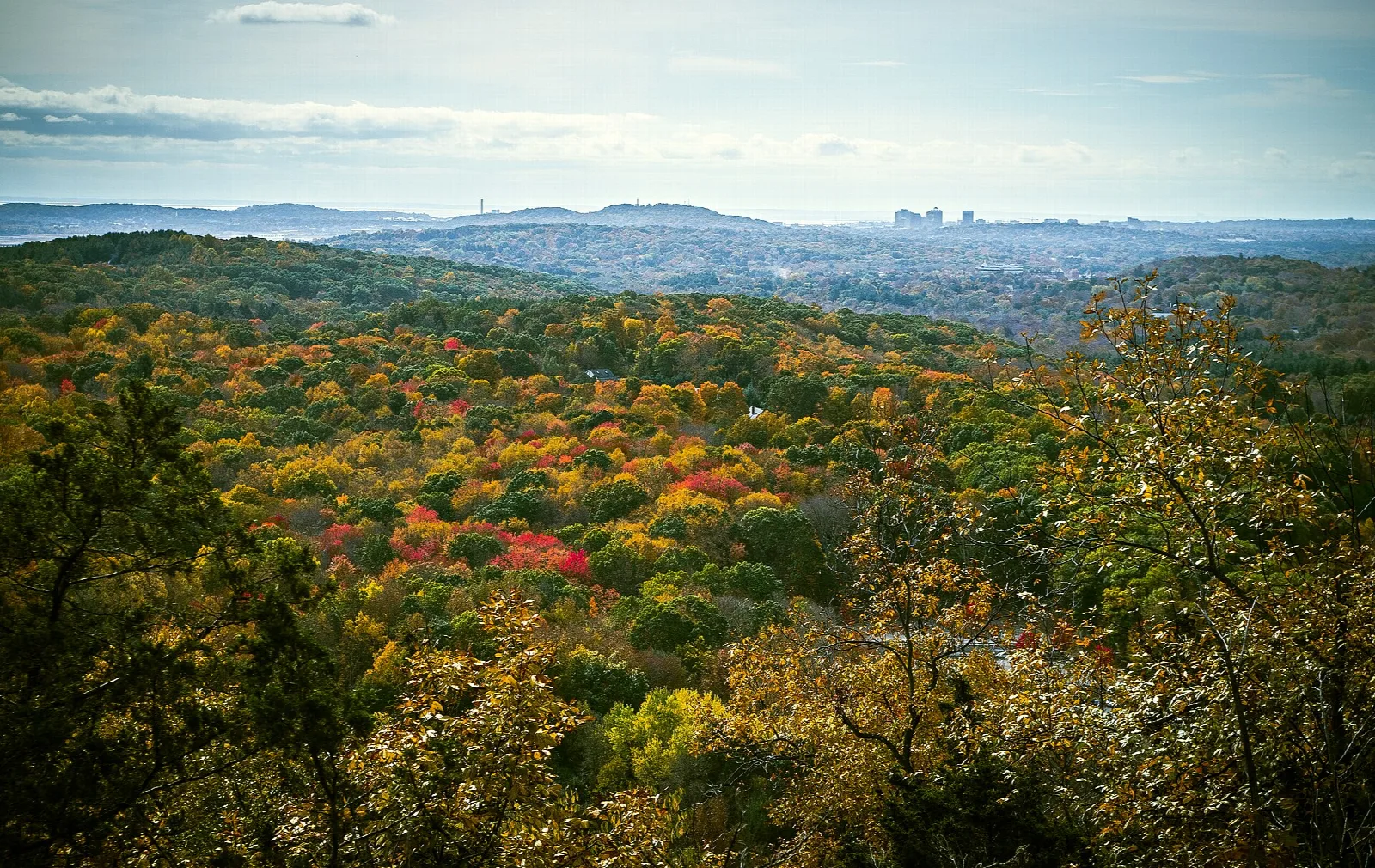 Autumn forest and distant skyline from a hilltop