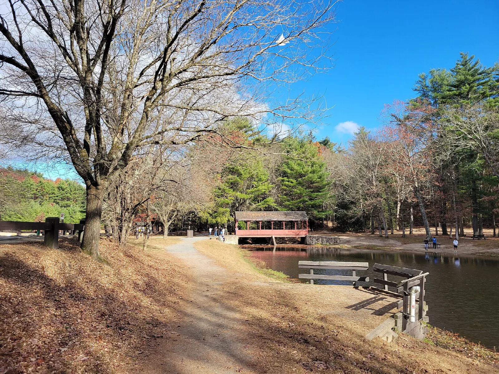 Pond shore with a path and a covered bridge in the distance