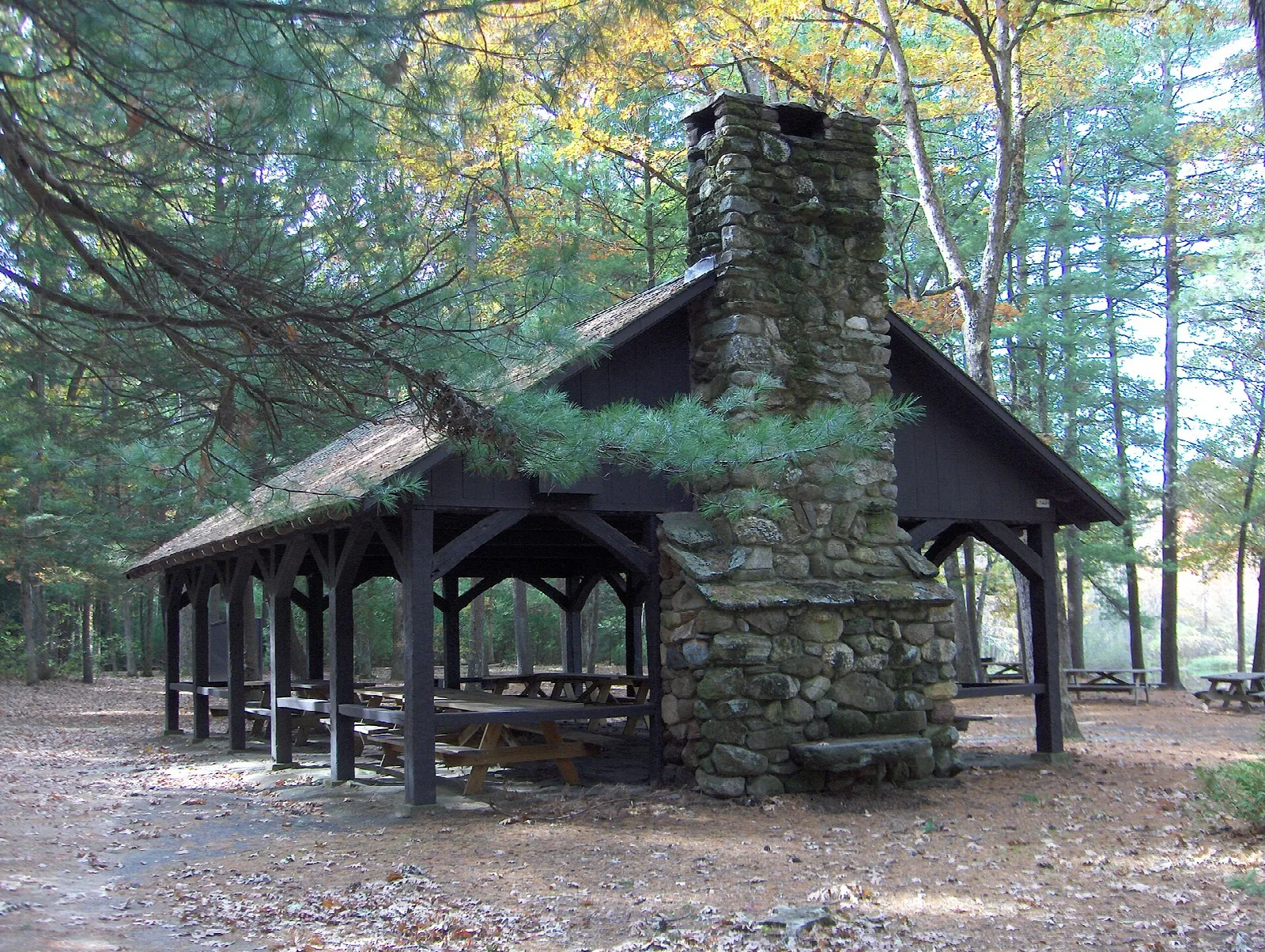 Stone fireplace shelter with picnic tables in a pine grove