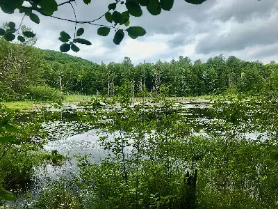 Sunny Brook State Park