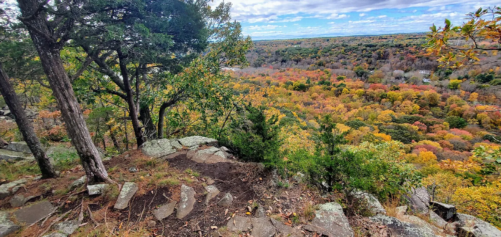 Fall foliage seen from a rocky ridge edge