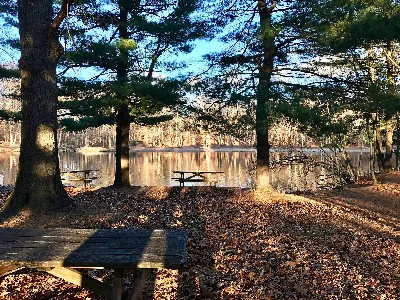 Wharton Brook State Park