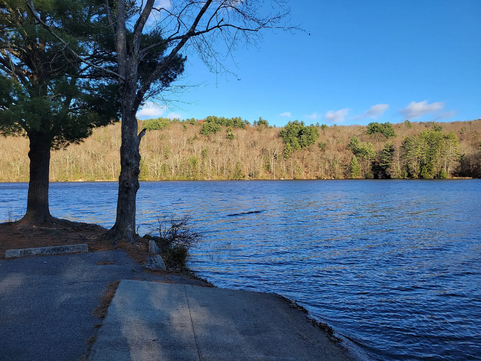 Quiet pond with a boat launch ramp and wooded shore