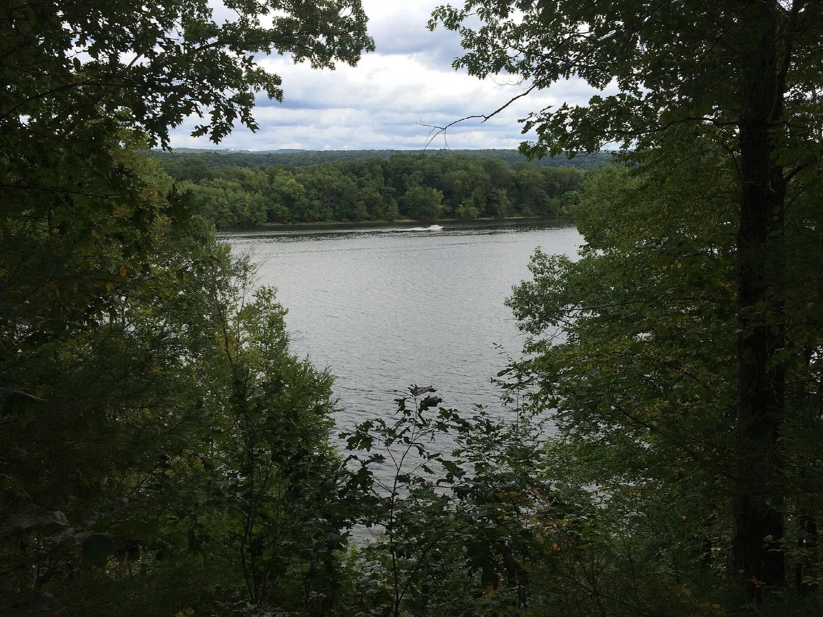 Wide river seen through trees from a bluff