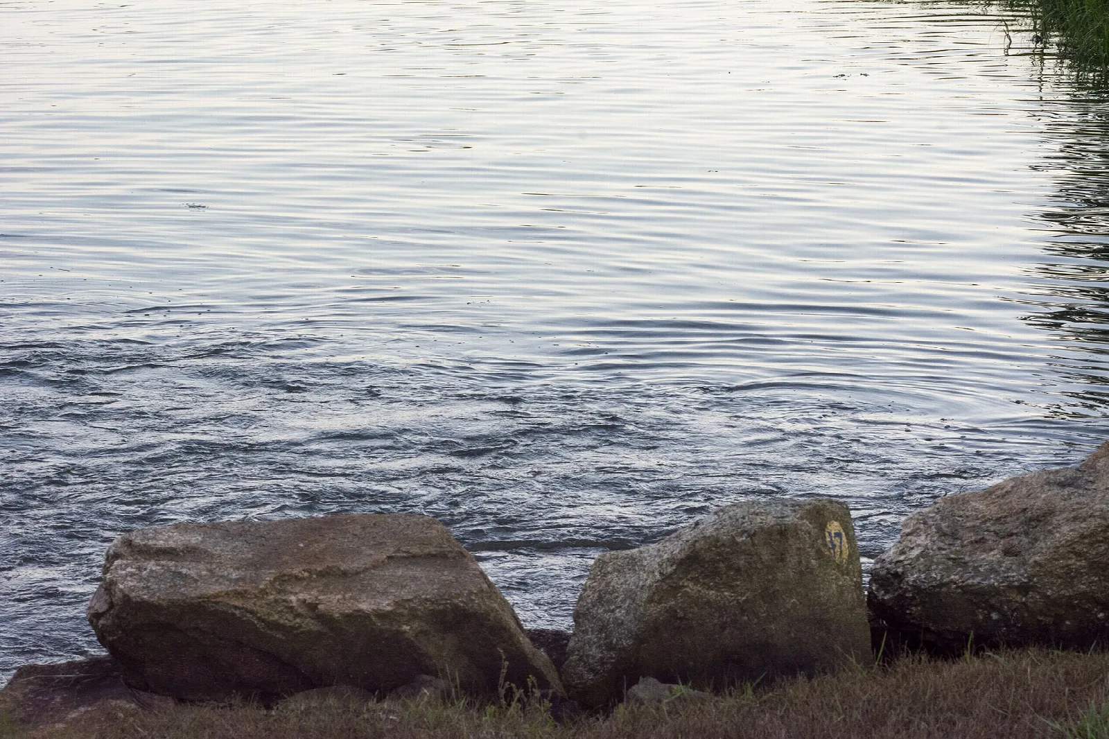 Large rocks along a rippling tidal shoreline