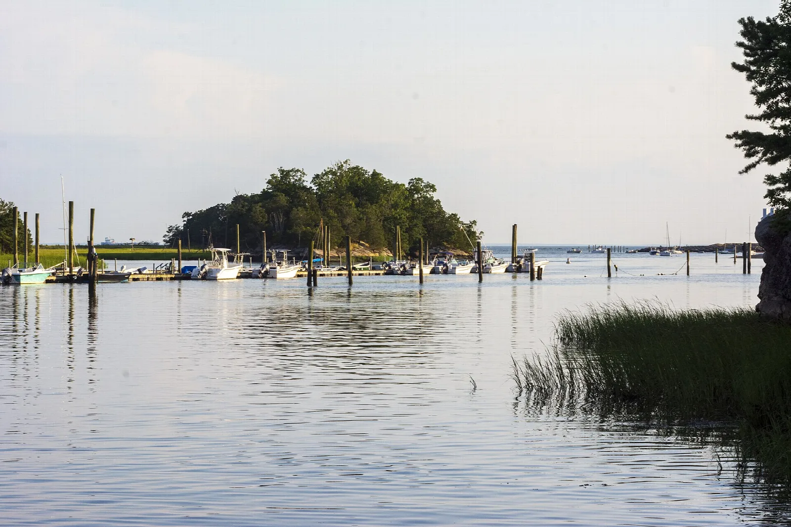 Wide tidal water with a small wooded island and docks in the distance