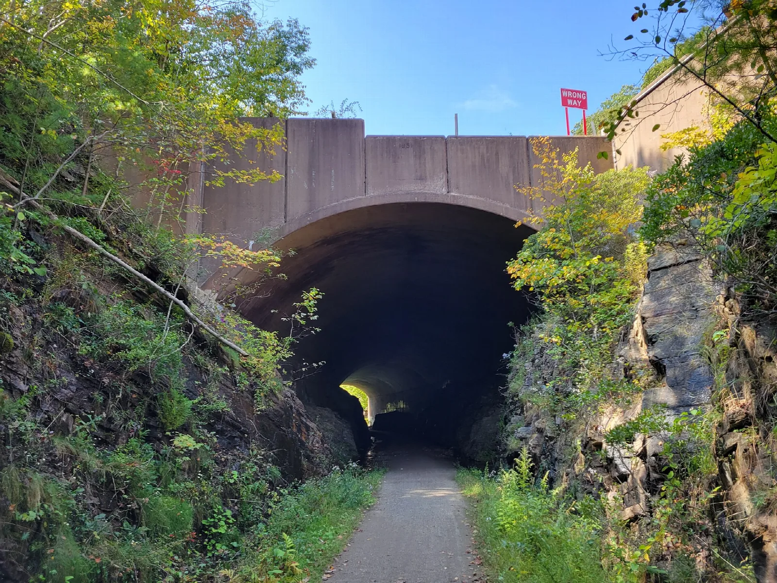 Stone tunnel opening on a paved trail with ferns and rock walls