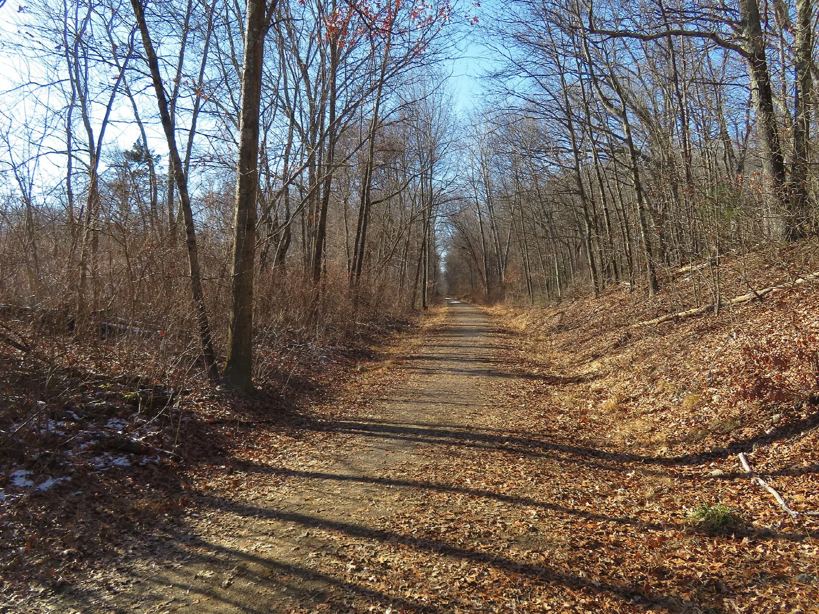 Flat gravel trail running straight through bare woods