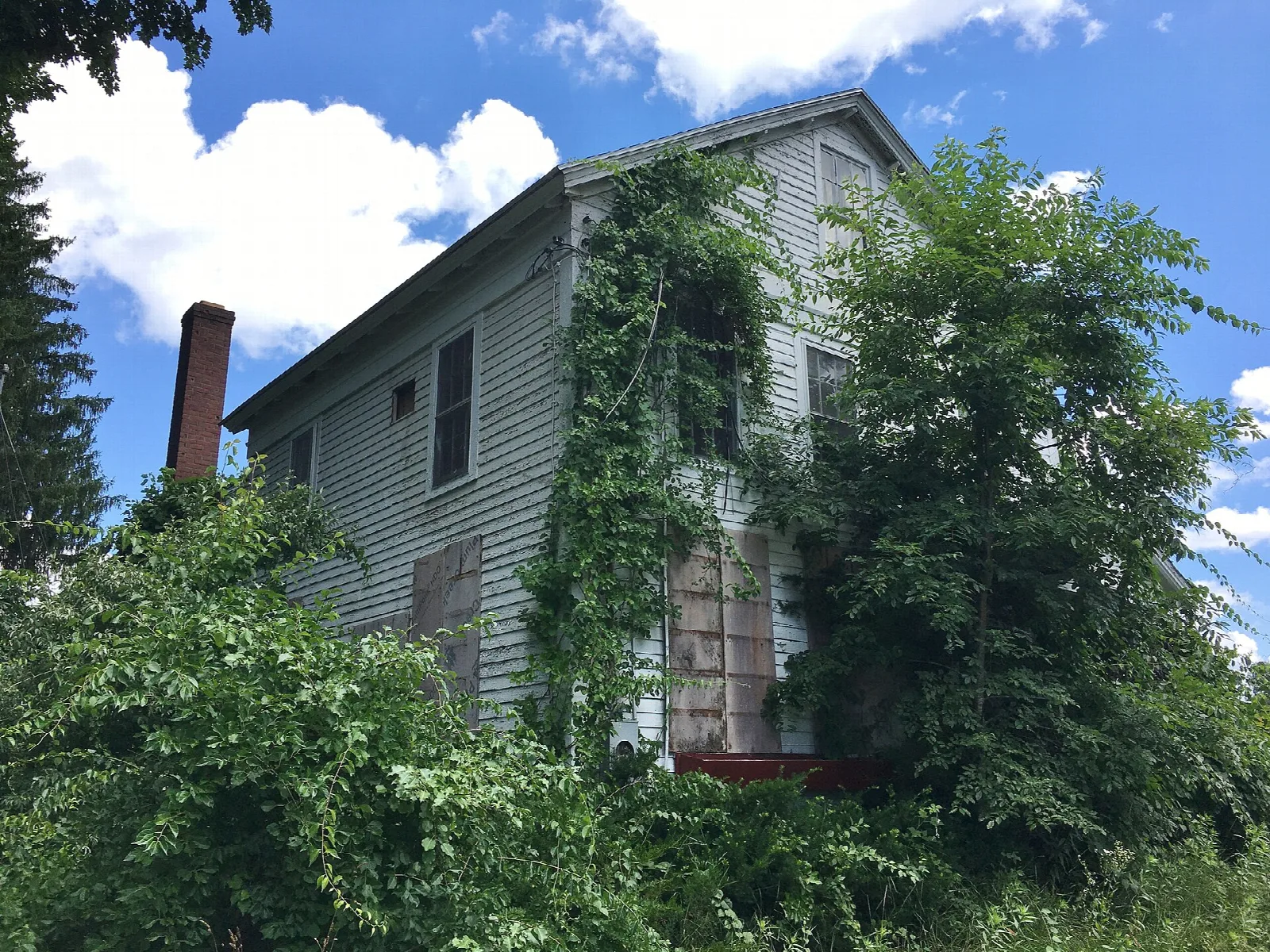 Gray two-story house covered in green vines