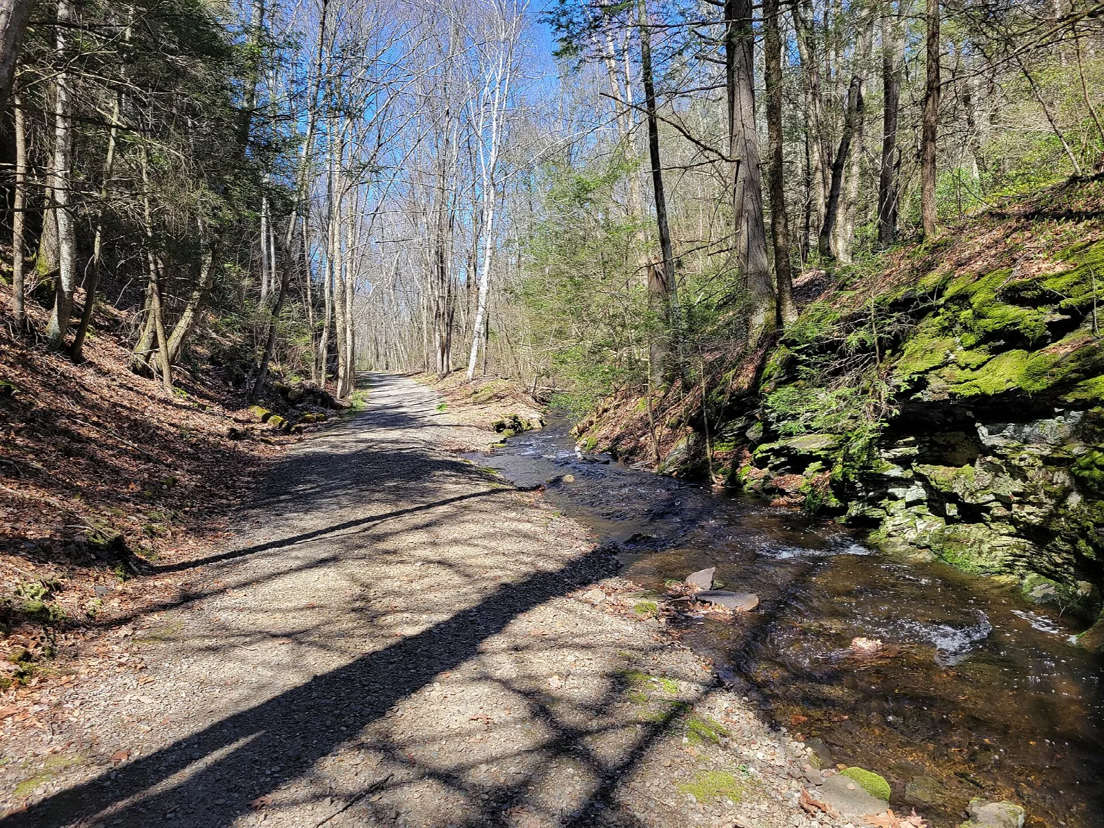 Gravel trail beside a small brook between mossy rock and trees