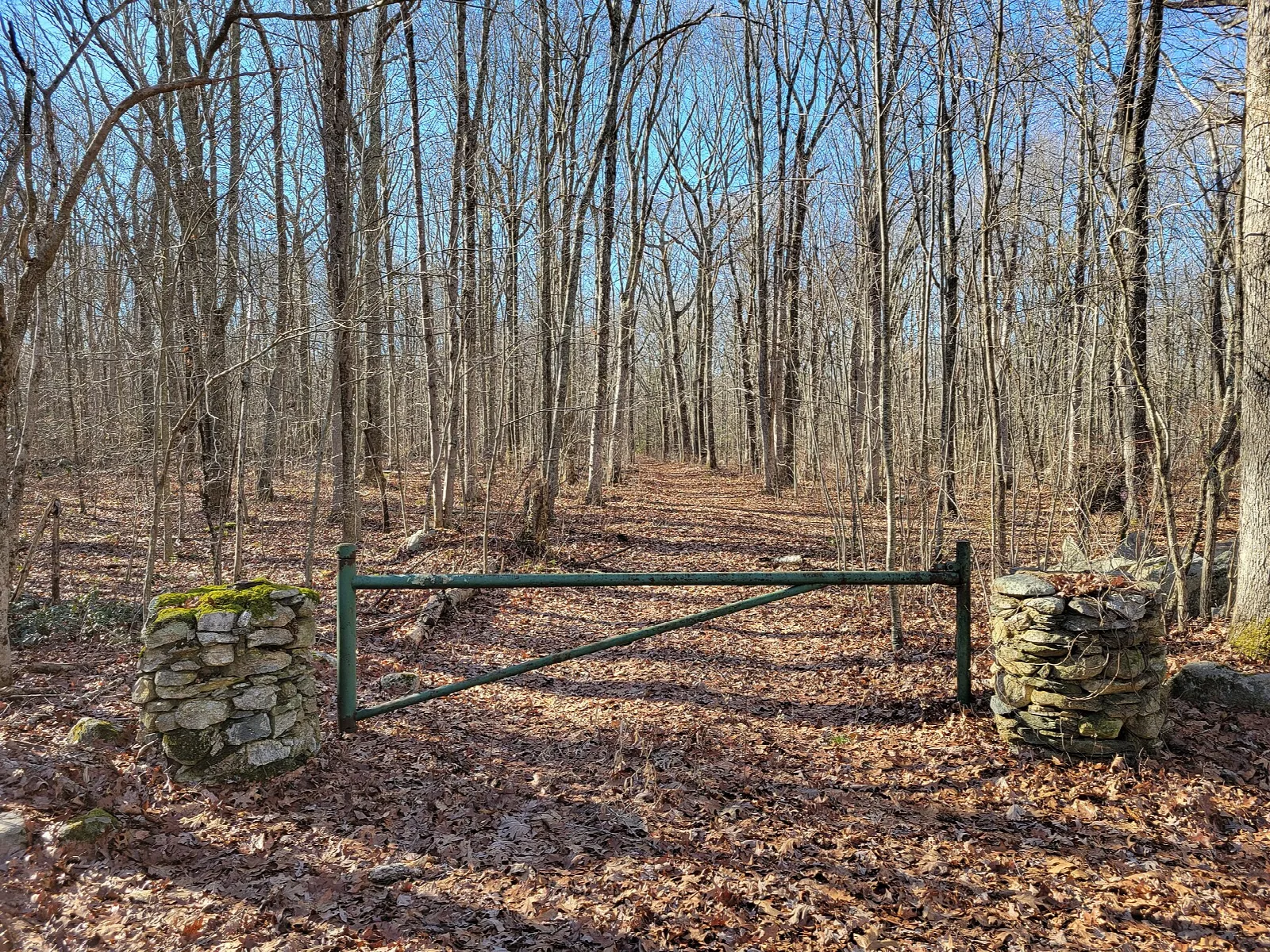 Leaf-covered woodland path closed by a green gate between two stone posts
