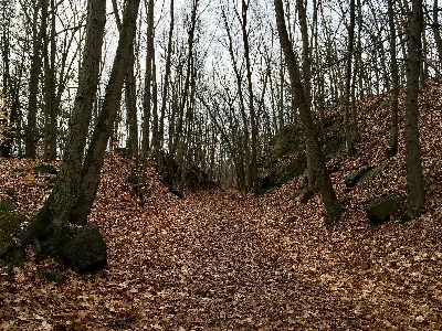 Whittemore Glen State Park Scenic Reserve