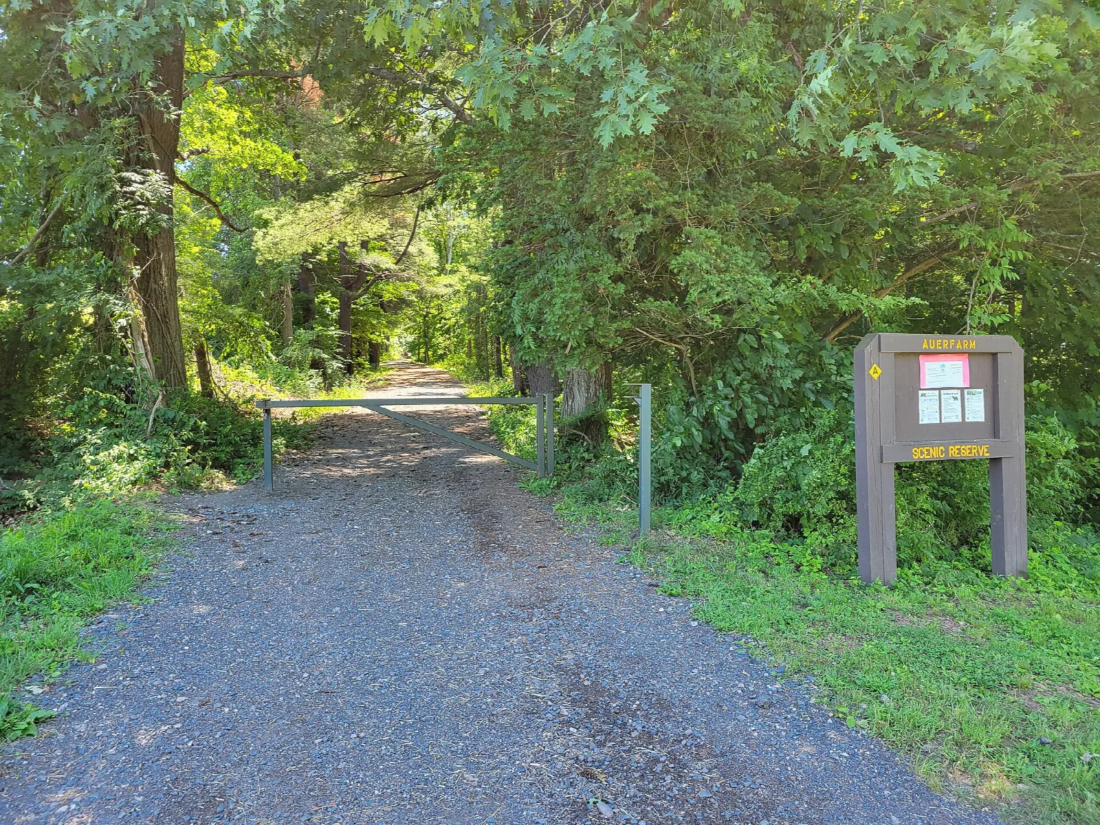 Gravel path leading into green woods beside a trail signboard
