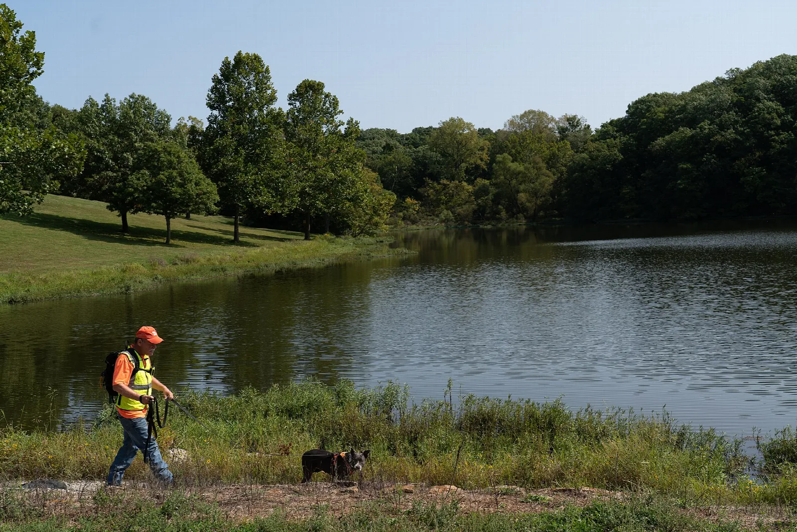Small lake with grassy banks and a tree-covered hill behind, a person in a safety vest and a dog on the shore