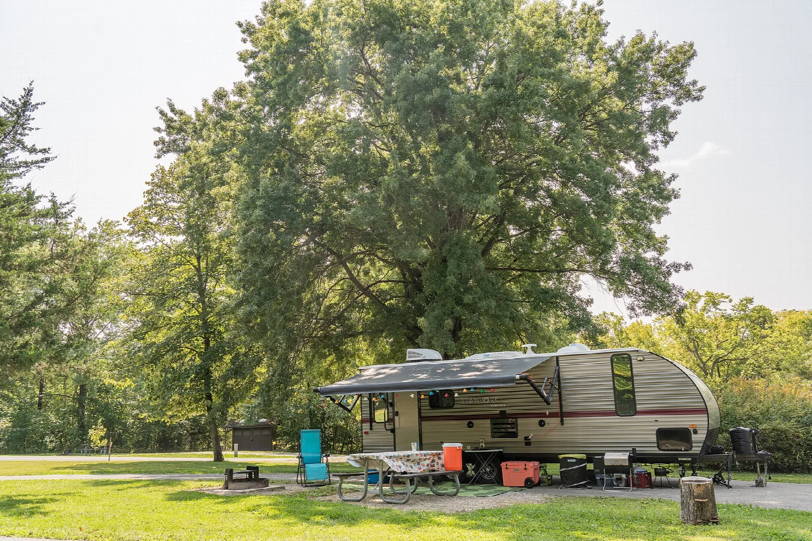 Camper trailer parked on grass under a large tree with a picnic table and chair