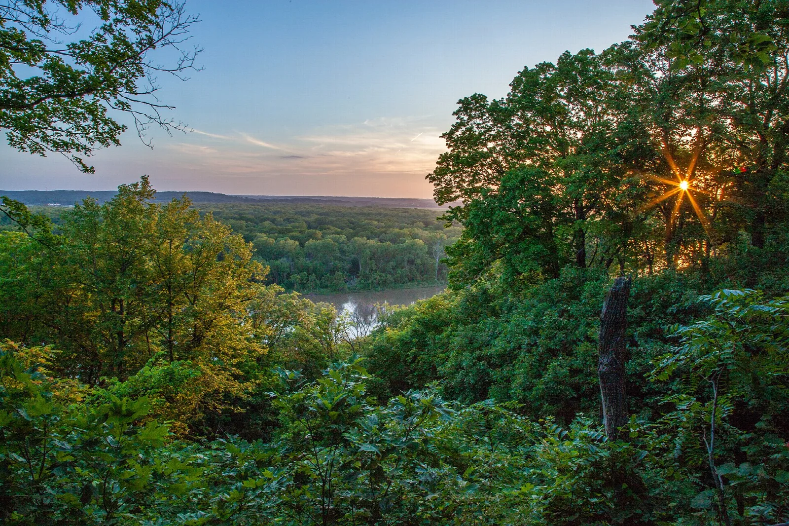 Sun breaking through leaves at an overlook above a wooded river valley at dusk