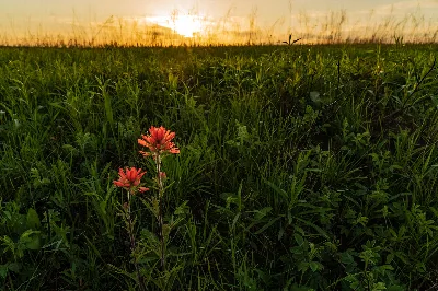 Prairie State Park