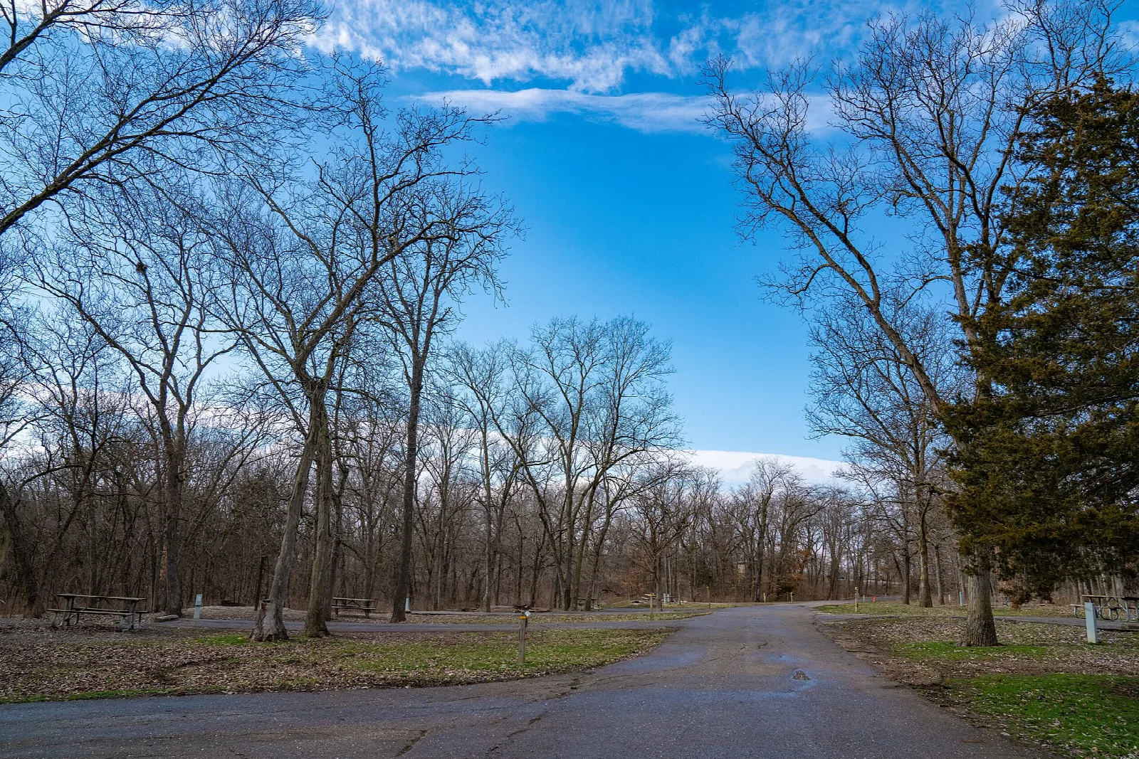 Paved campground road through bare trees under a blue sky