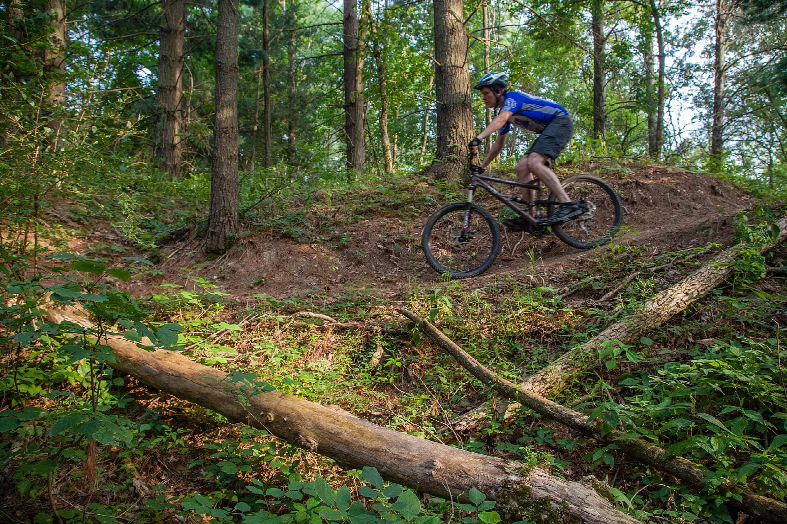 Mountain biker riding a dirt trail through green woods