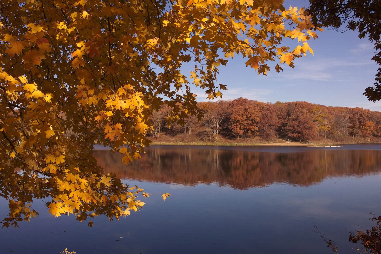 Still lake reflecting autumn trees, with orange maple leaves in the foreground