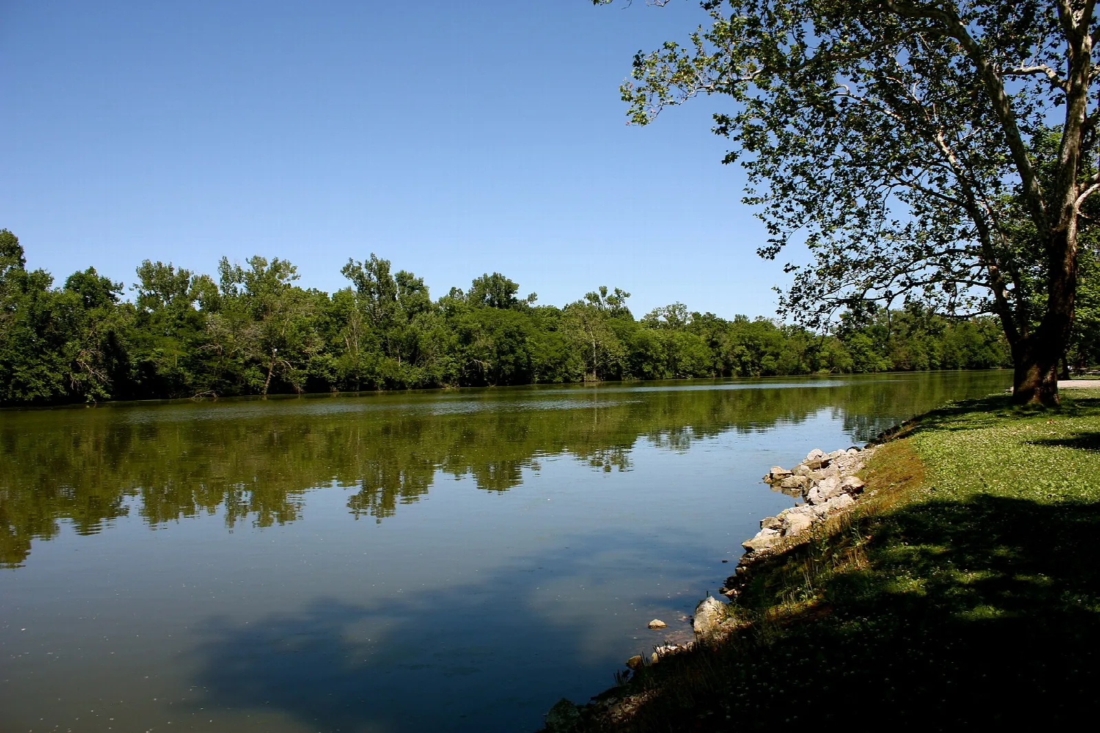 Calm lake bordered by green trees, with a grassy bank under a blue sky