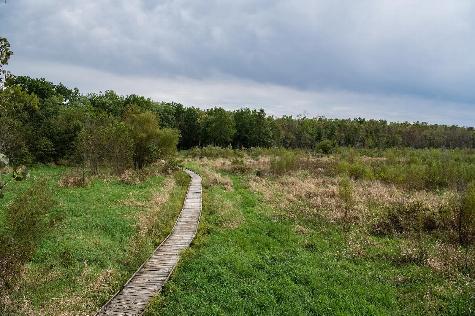 Boardwalk trail curving through green wet prairie toward a distant tree line